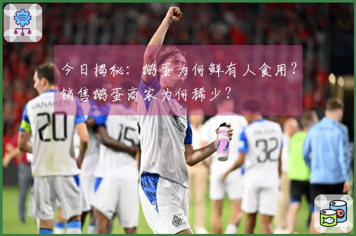 今日揭秘：鹅蛋为何鲜有人食用？销售鹅蛋商家为何稀少？