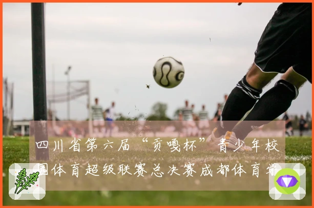 四川省第六届“贡嘎杯”青少年校园体育超级联赛总决赛成都体育学院女足荣获冠军