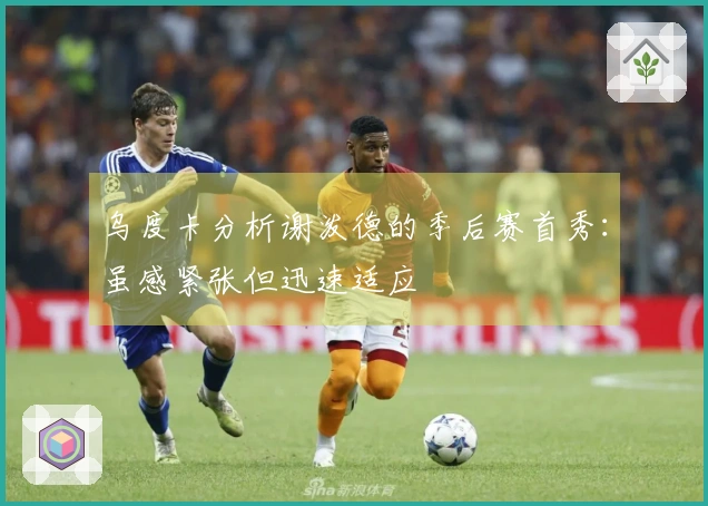 乌度卡分析谢泼德的季后赛首秀：虽感紧张但迅速适应