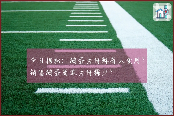 今日揭秘：鹅蛋为何鲜有人食用？销售鹅蛋商家为何稀少？