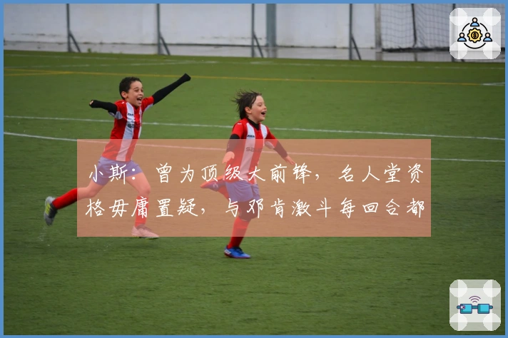 小斯：曾为顶级大前锋，名人堂资格毋庸置疑，与邓肯激斗每回合都精彩纷呈